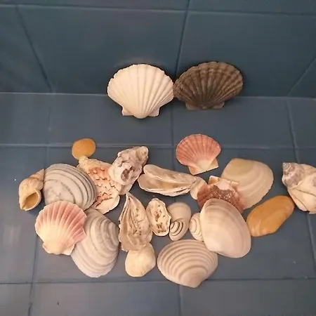 La Du Roc *